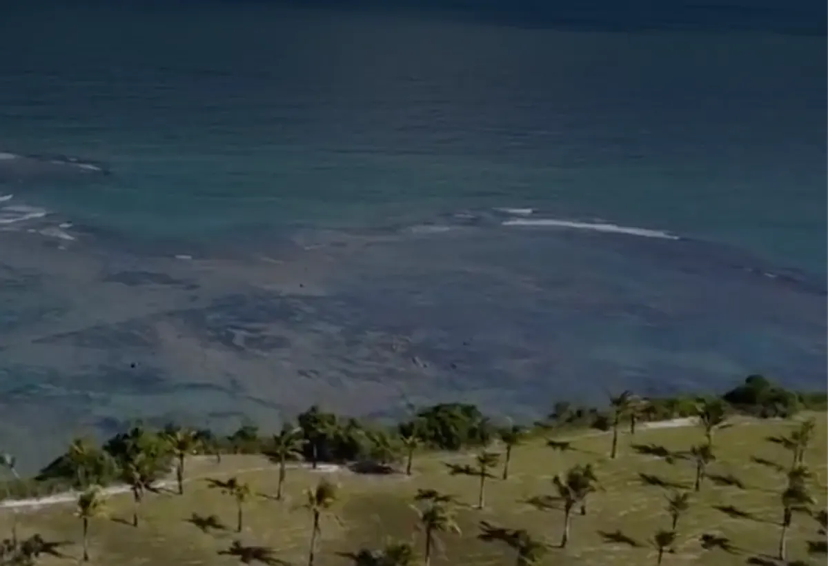 Aerial view of the beach and palm trees around Brisas Pousada